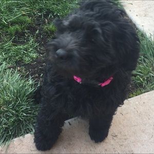 Meet your Posher, Jason